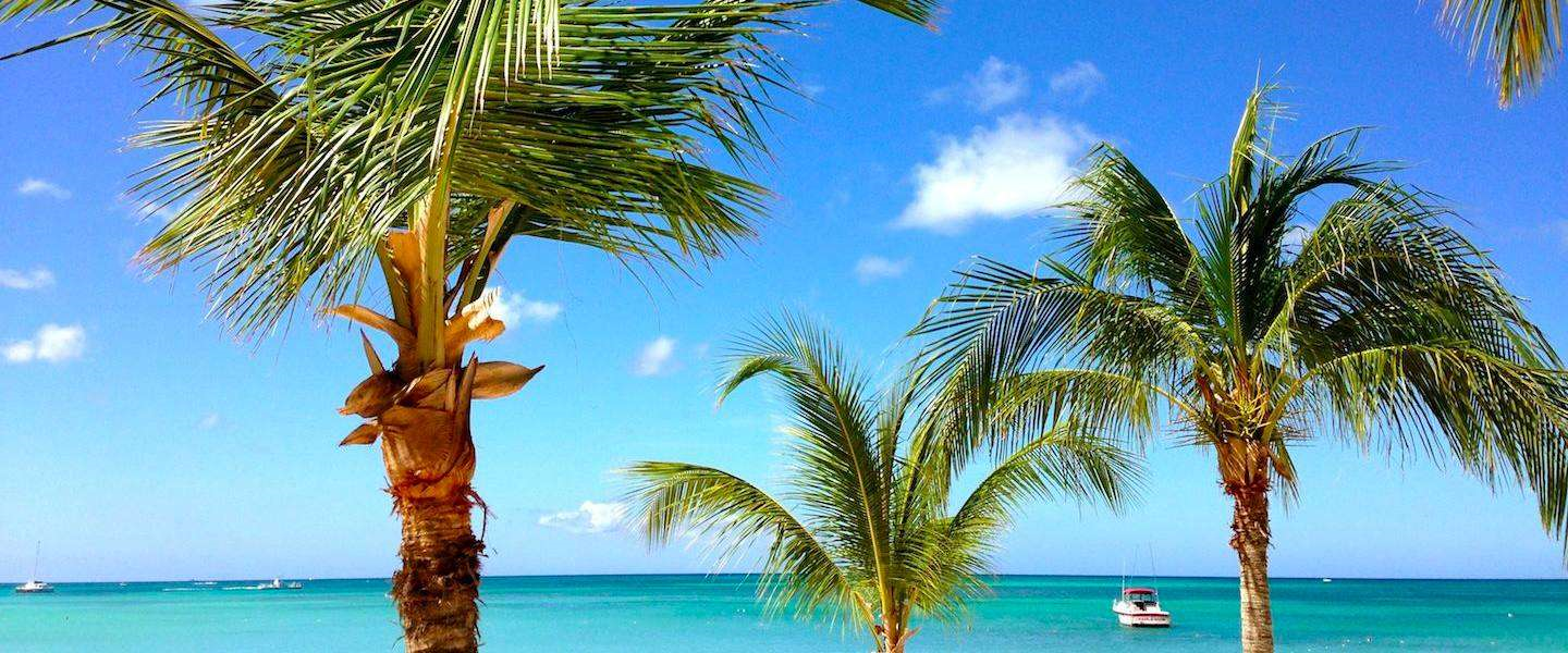 zomer 2017 nieuws header img